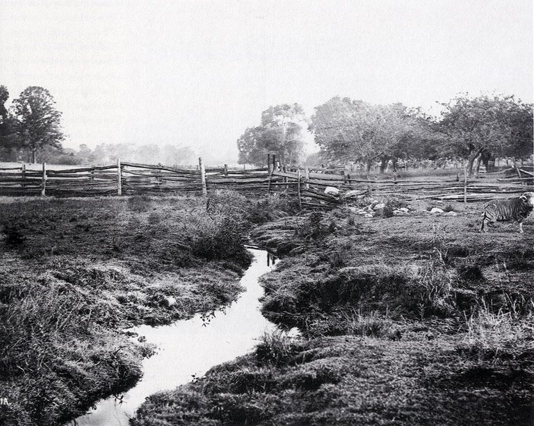 The Smith family farm in Manchester, New York, the land Alvin worked to pay for, photographed about 1907.